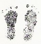 Audrey Joy's footprints